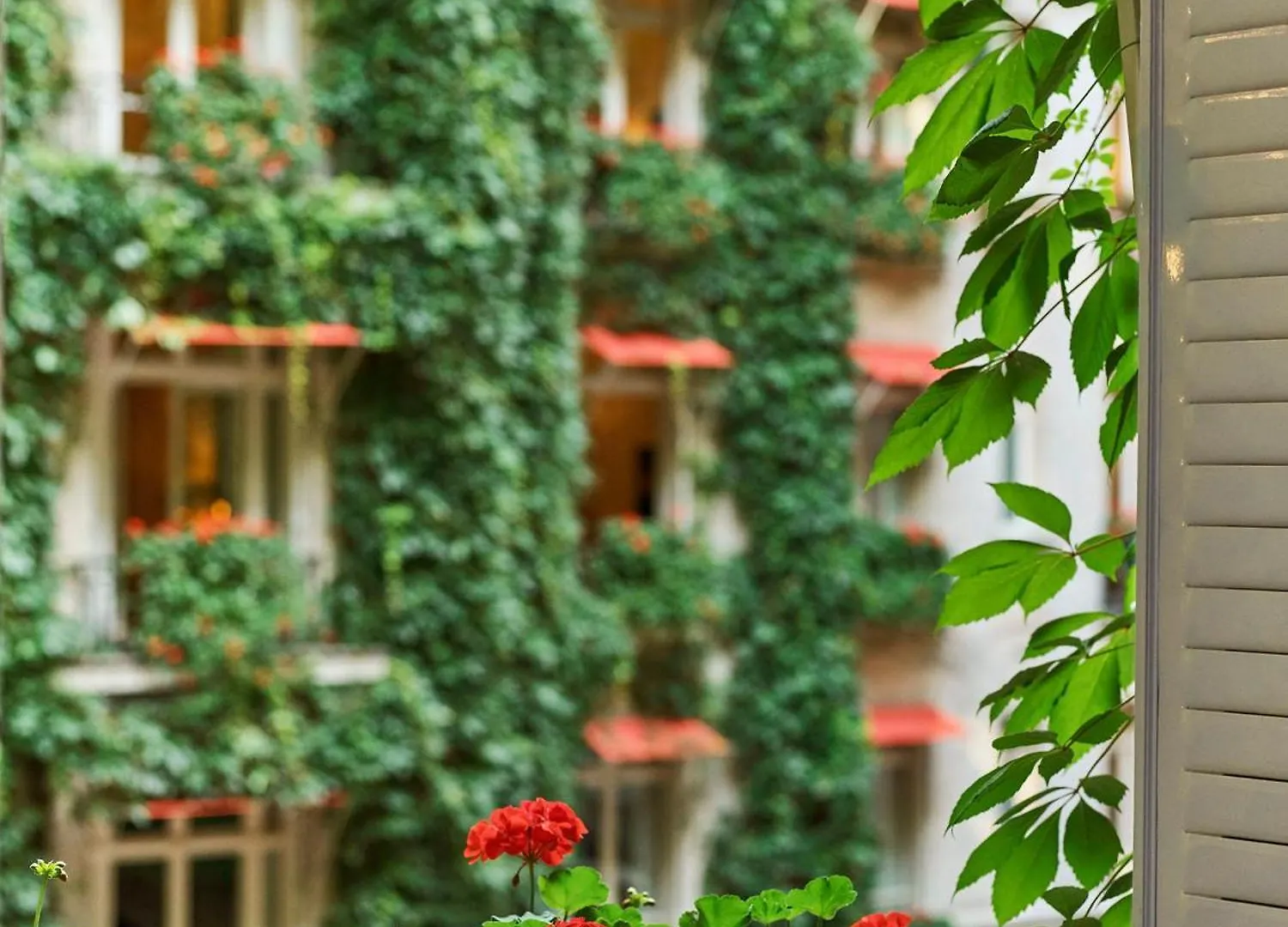 ***** Hotel Hôtel Plaza Athénée - Dorchester Collection París Francia